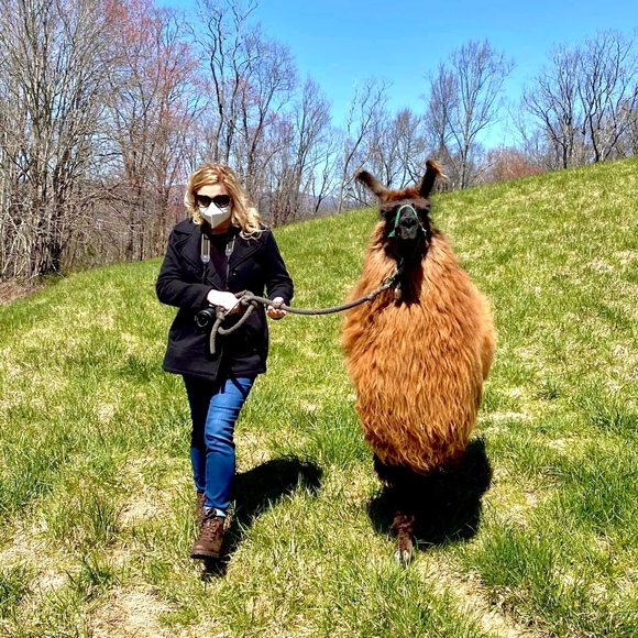 Meet your Posher, Christine - Picture 8 of 16